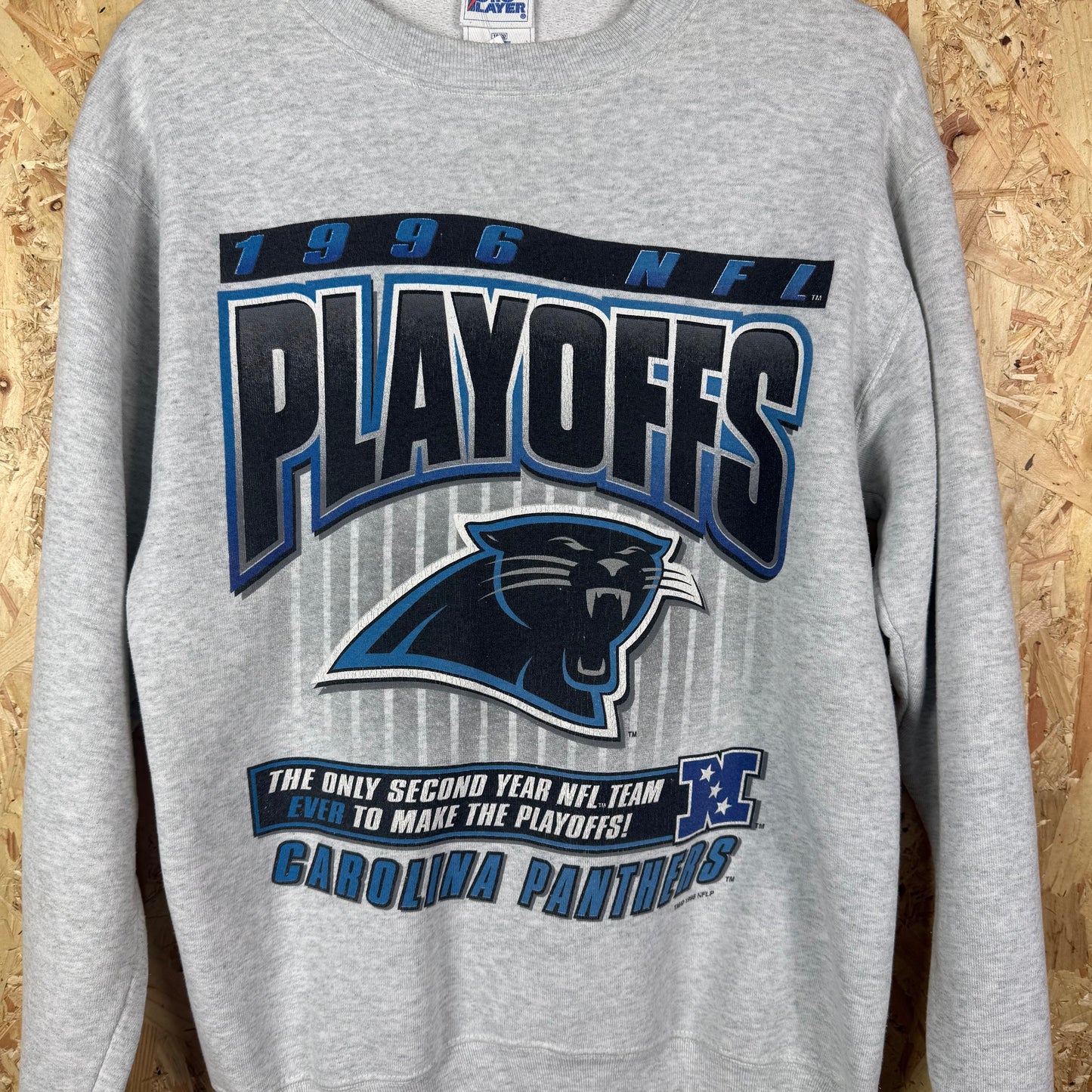 Carolina Panthers Graphic sweatshirt 90s Grey Medium