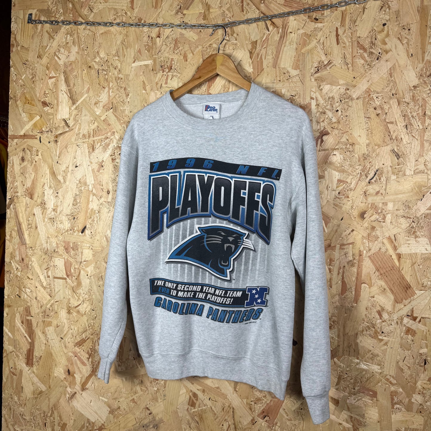 Carolina Panthers Graphic sweatshirt 90s Grey Medium