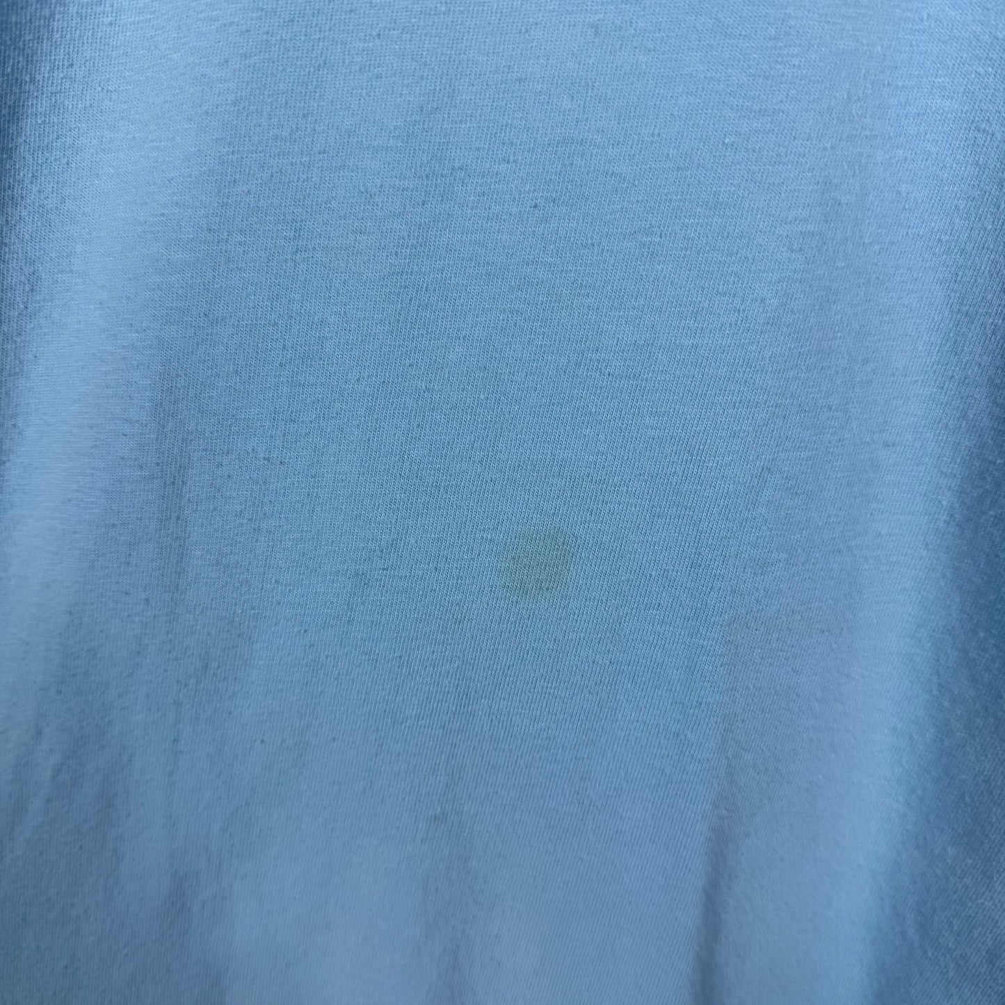 Patagonia Blue Long Sleeve T-Shirt Back Print Size S