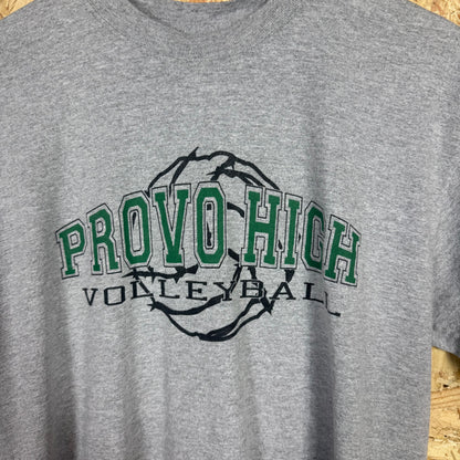 Provo High Volleyball Grey T-Shirt Size S